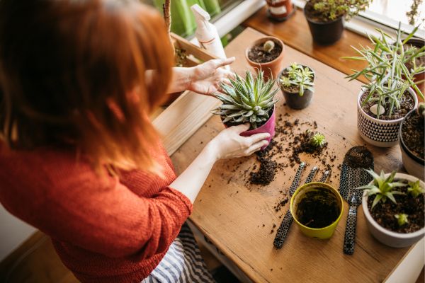 Aprenda a podar e dar forma ao seu jardim urbano: dicas e manutenção