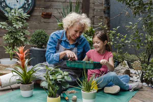 Ervas aromáticas: como cultivar um jardim urbano perfumado e saboroso