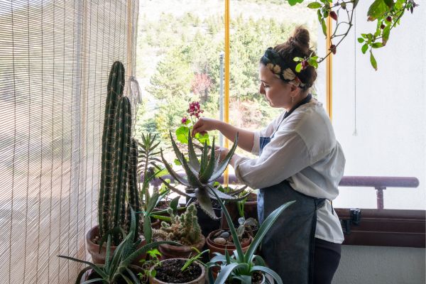 Irrigação para jardins urbanos