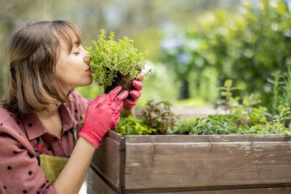 Como utilizar a técnica de compostagem em jardins urbanos