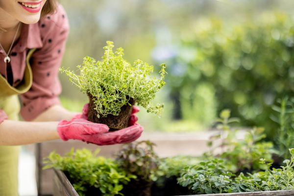 Técnicas Inteligentes para serem aplicadas em Jardins Urbanos