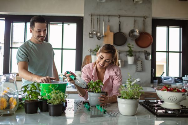 10 árvores frutíferas de pequeno porte para o seu jardim urbano