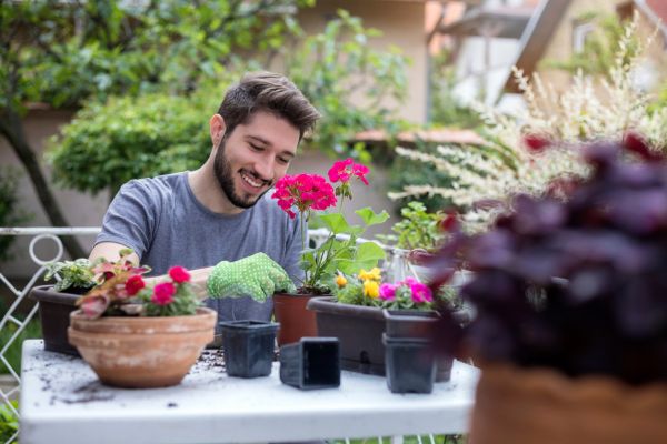 Explore os diferentes tipos de vegetais que você pode cultivar em sua varanda