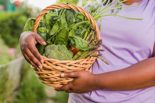 Sustentabilidade no Jardim Urbano: Reduzindo o Impacto Ambiental com Práticas Eco-friendly