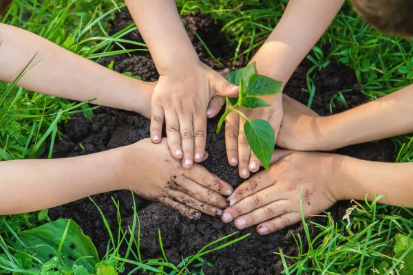 Jardim Urbano para Crianças: Como Envolver os Pequenos na Jardinagem