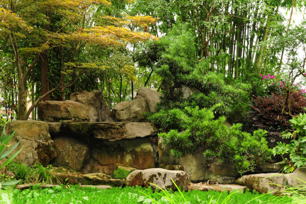 Jardins de Pedra: Criando um Ambiente Natural